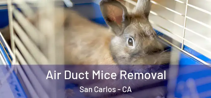 Air Duct Mice Removal San Carlos - CA