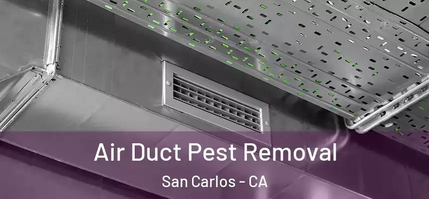 Air Duct Pest Removal San Carlos - CA