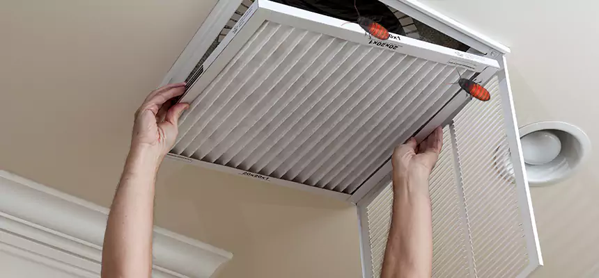 Preventive Cockroach-Proofing for Ducts in San Carlos