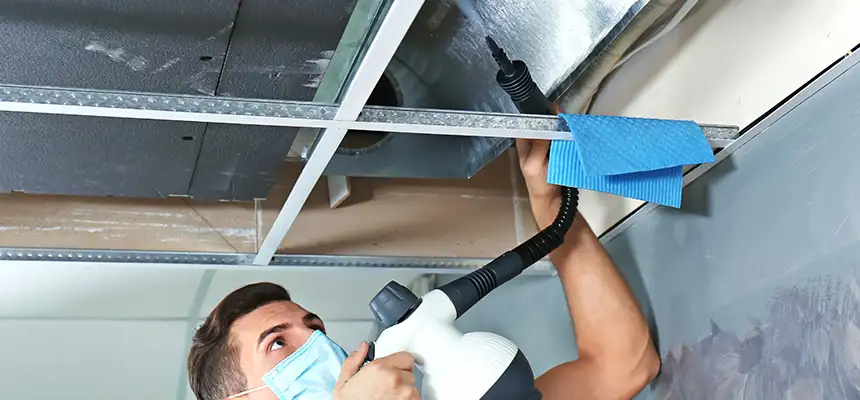 Our Air Duct Rodent Removal Services in San Carlos, CA