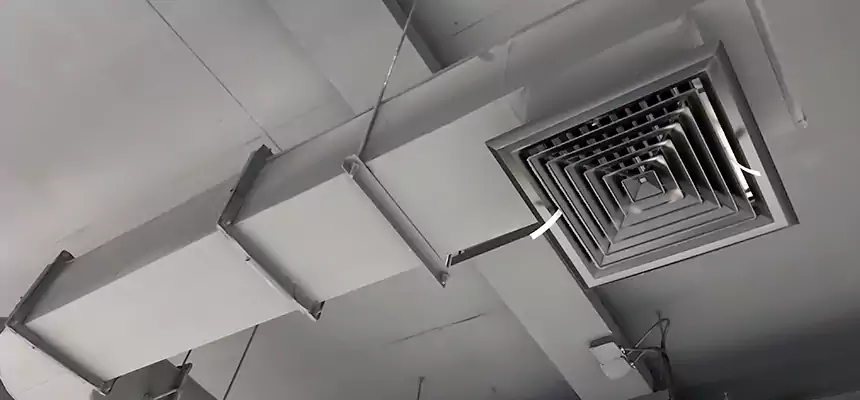 Our Pest Removal From Ducts Services in San Carlos, CA