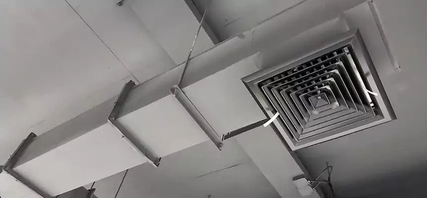 Our Rodent Droppings In Vents Services in San Carlos, CA