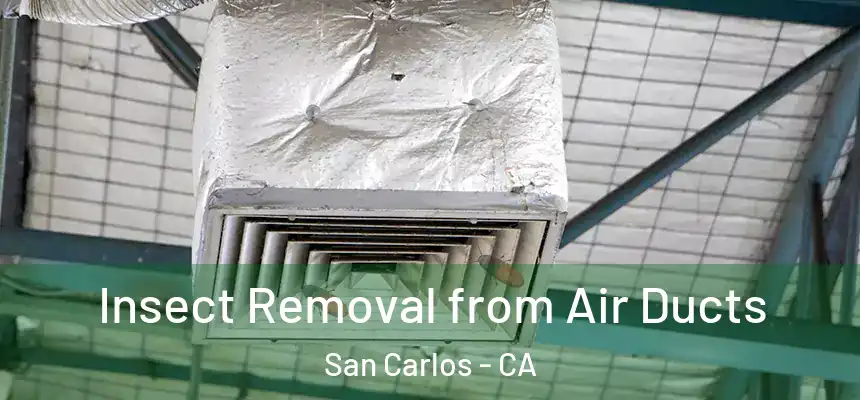  Insect Removal from Air Ducts San Carlos - CA