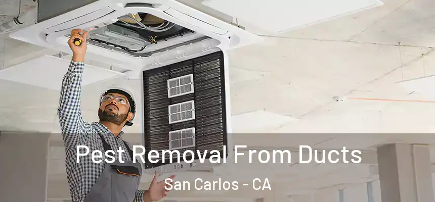  Pest Removal From Ducts San Carlos - CA