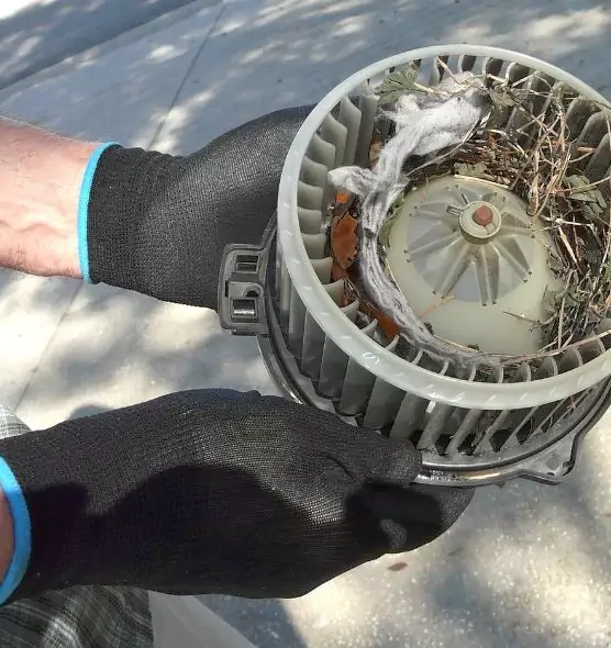 About Air Duct Mice Removal in San Carlos, CA