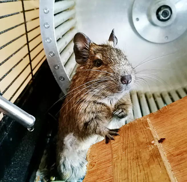 Why Homeowners & Businesses Trust Us San Carlos, CA?