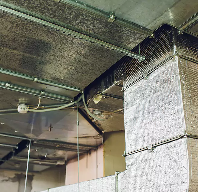 Why Homeowners & Businesses Trust Us in San Carlos, CA?